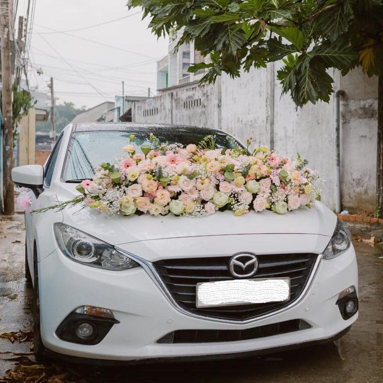 service | hoa xe cưới hà vy